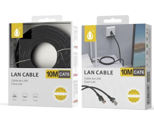 Câble Ethernet 1m, RJ45 Catégorie 6 Transfert 10Gbps - 250MHz, LinQ - Gris  - Français