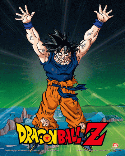 image principale pour Dragon Ball Z - Poster 3d lenticulaire- Power levels increased (26x20cm)