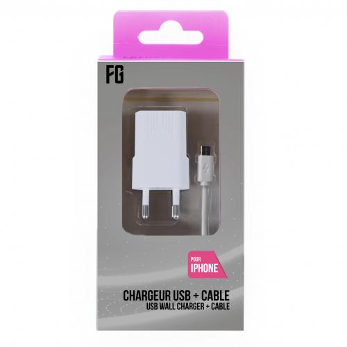 Embout Secteur USB + Câble pour iPhone 5/6/7/8/X 1A Blanc (CA109)