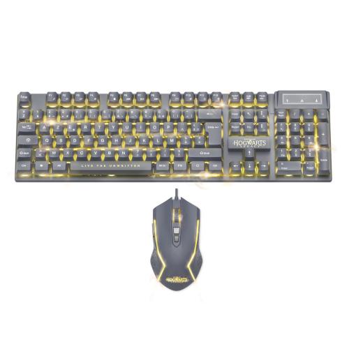 image Harry Potter-Pack Clavier+Souris gaming rétroéclairés Hogwarts Legacy (compatible 