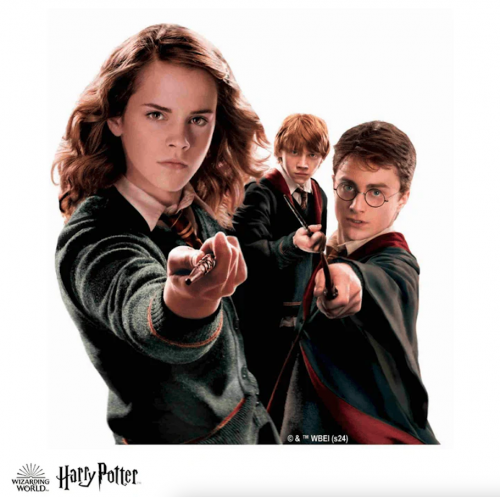 image Puzzle en bois - Harry Potter – Les héros de Poudlard – 130 pcs